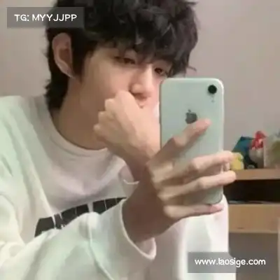 晏清飚
